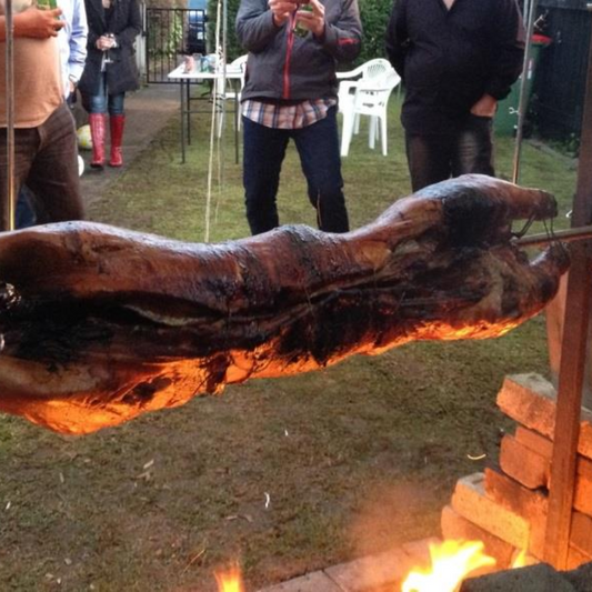 How To Attach A Pig To A Rotisserie