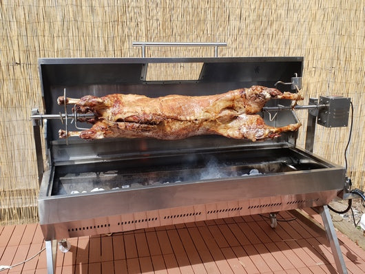 Gas spit roaster sales